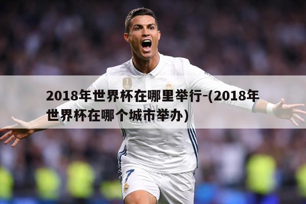 2018年世界杯在哪里举行-(2018年世界杯在哪个城市举办)