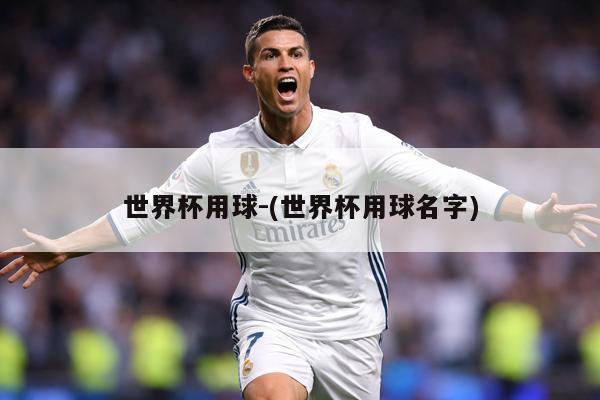 世界杯用球-(世界杯用球名字)